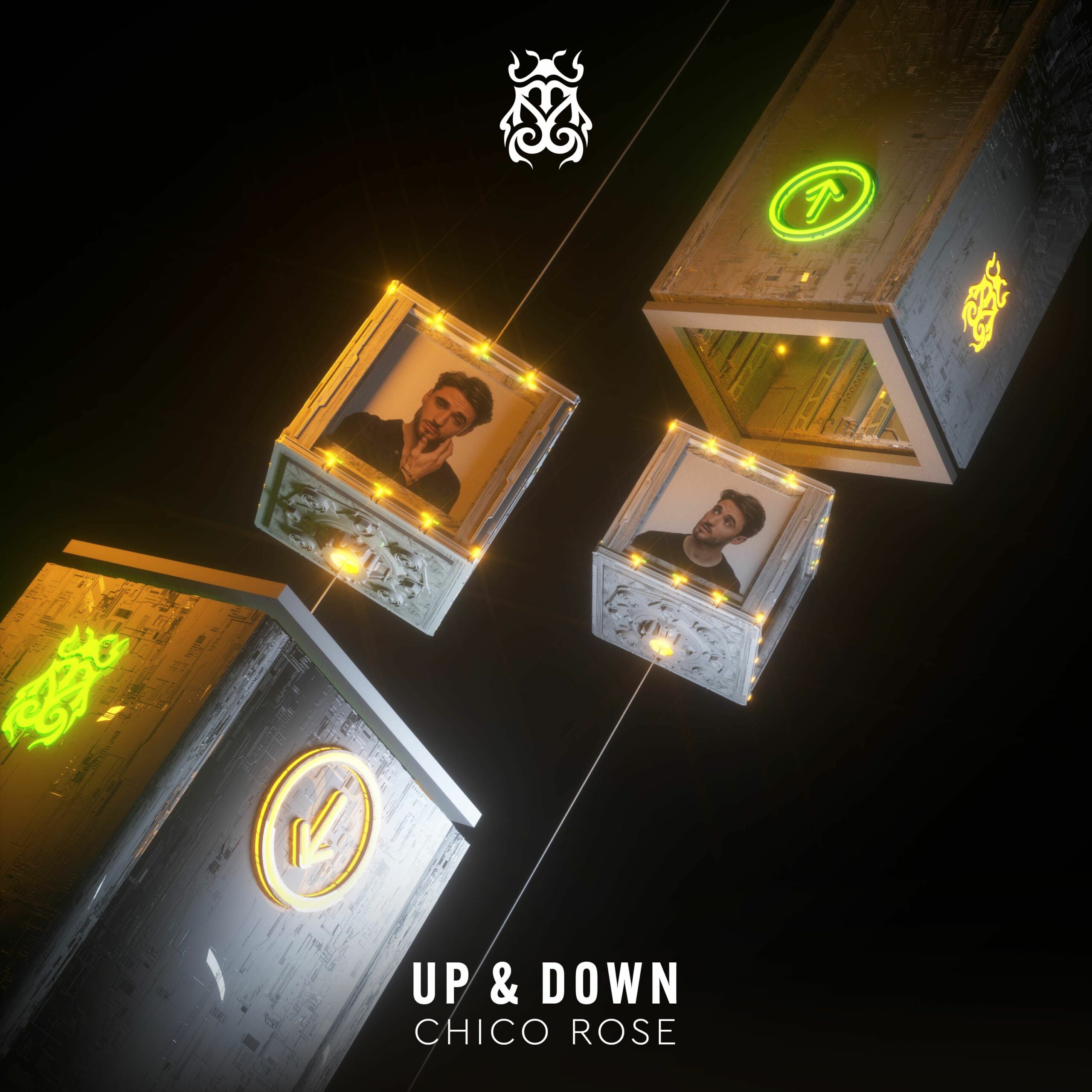 Private: Chico Rose – Up and Down