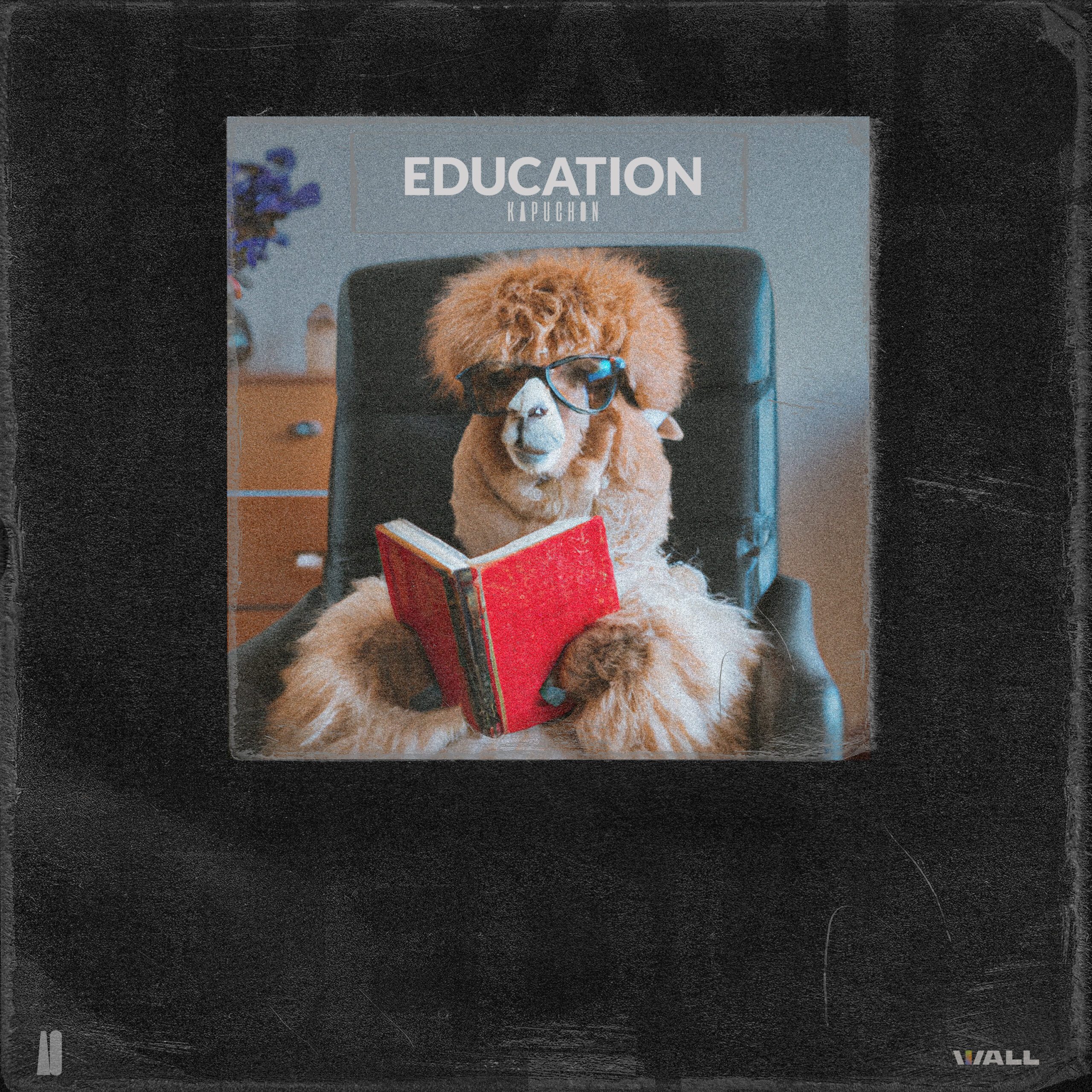 Kapuchon – Education
